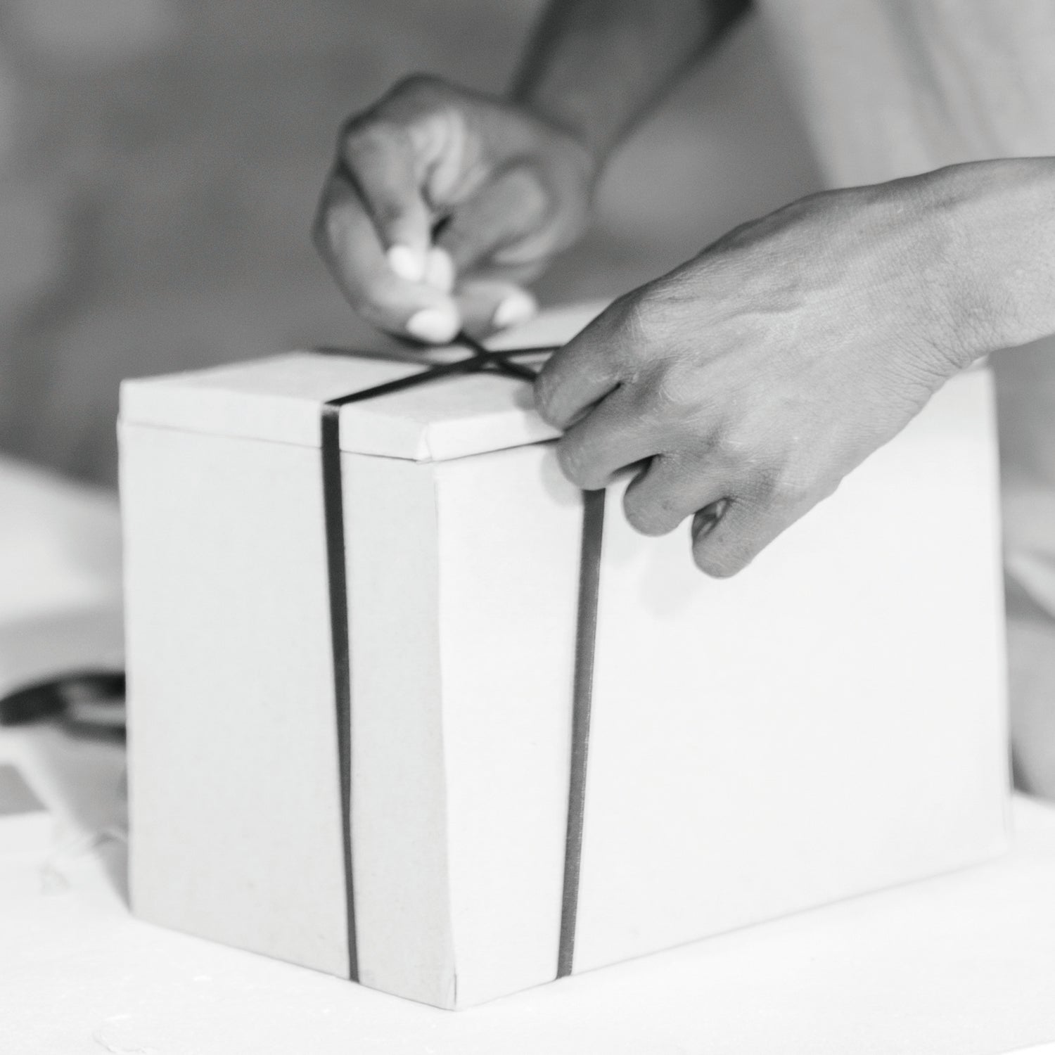 Sleeping Animals-Peacock Green