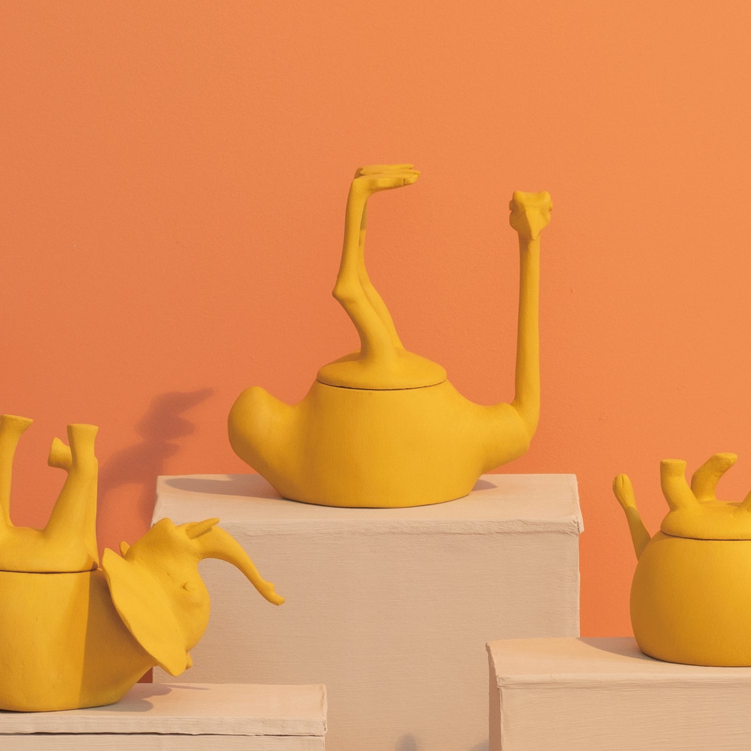 Sleeping Animals-Mustard