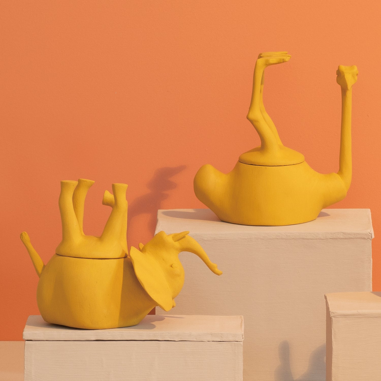 Sleeping Animals-Mustard