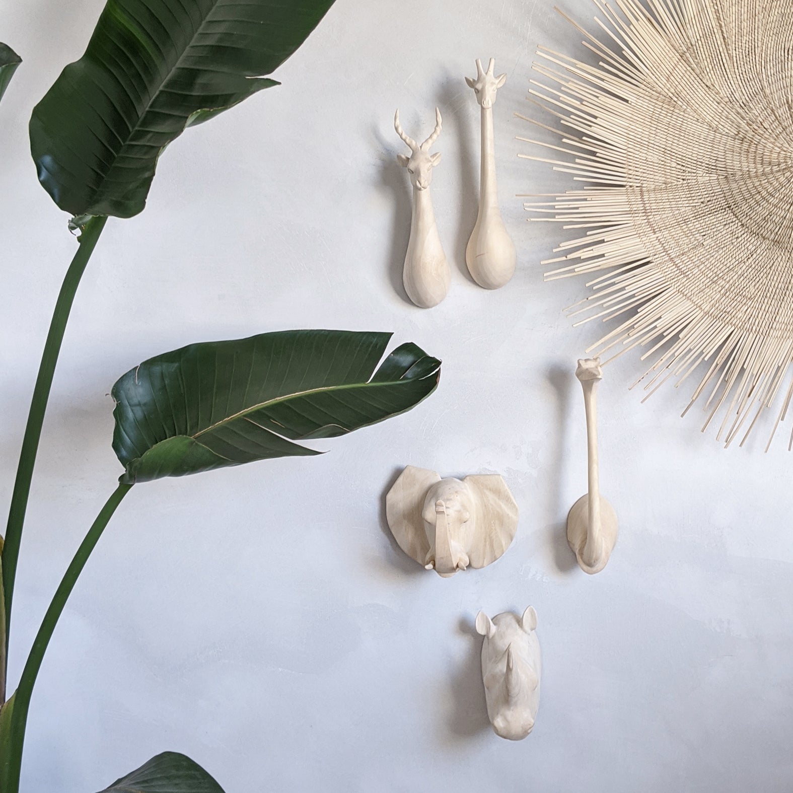 Natural Big Animal Head Hooks